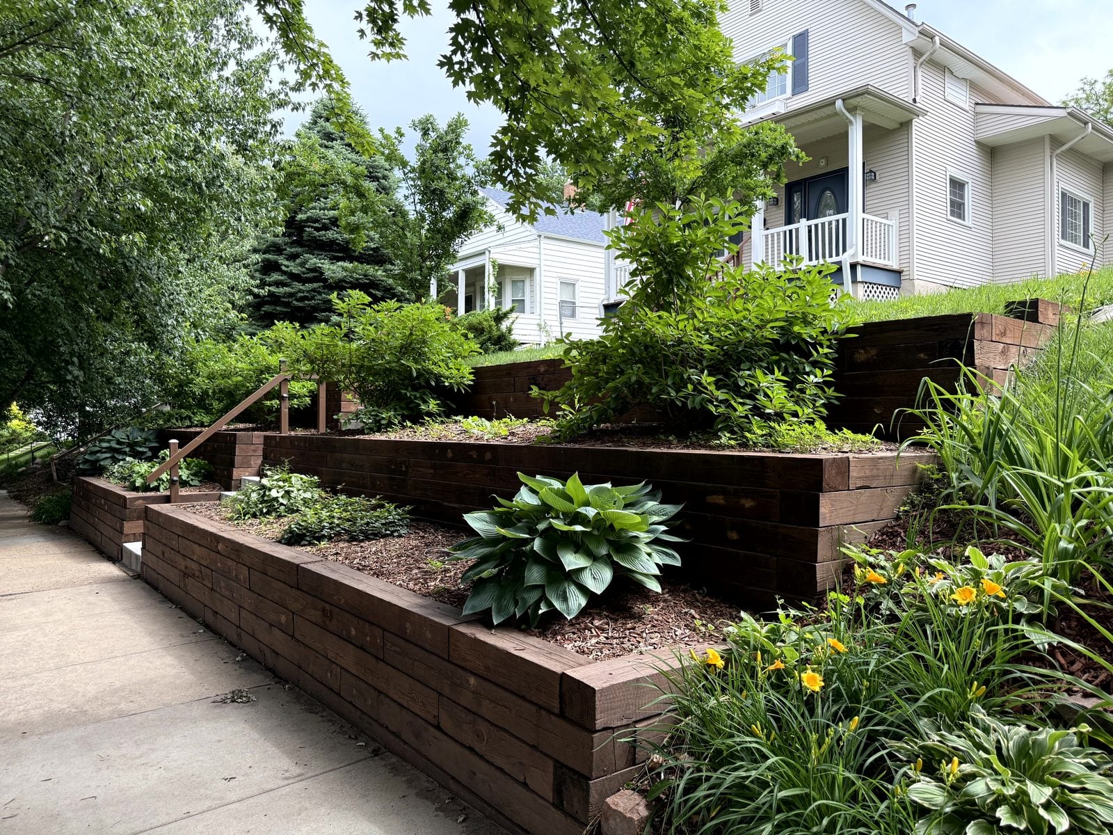 Terraced timber retaining walls with hosta landscaping